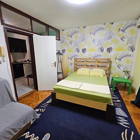 ノヴィ・サドApartman Yellow Houseアパートメント エクステリア 写真